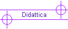 Didattica