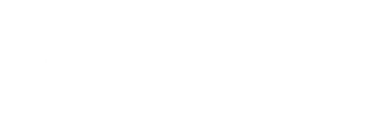 logo Findomestic